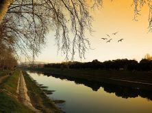 buon fine settimana da firenze  parco cascine - have a great weekend by florence cascine park.jpg